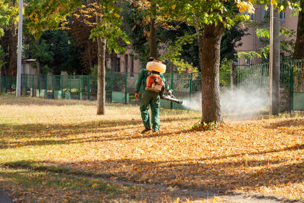 Best Local Pest Control Services  in Aquia Harbour, VA